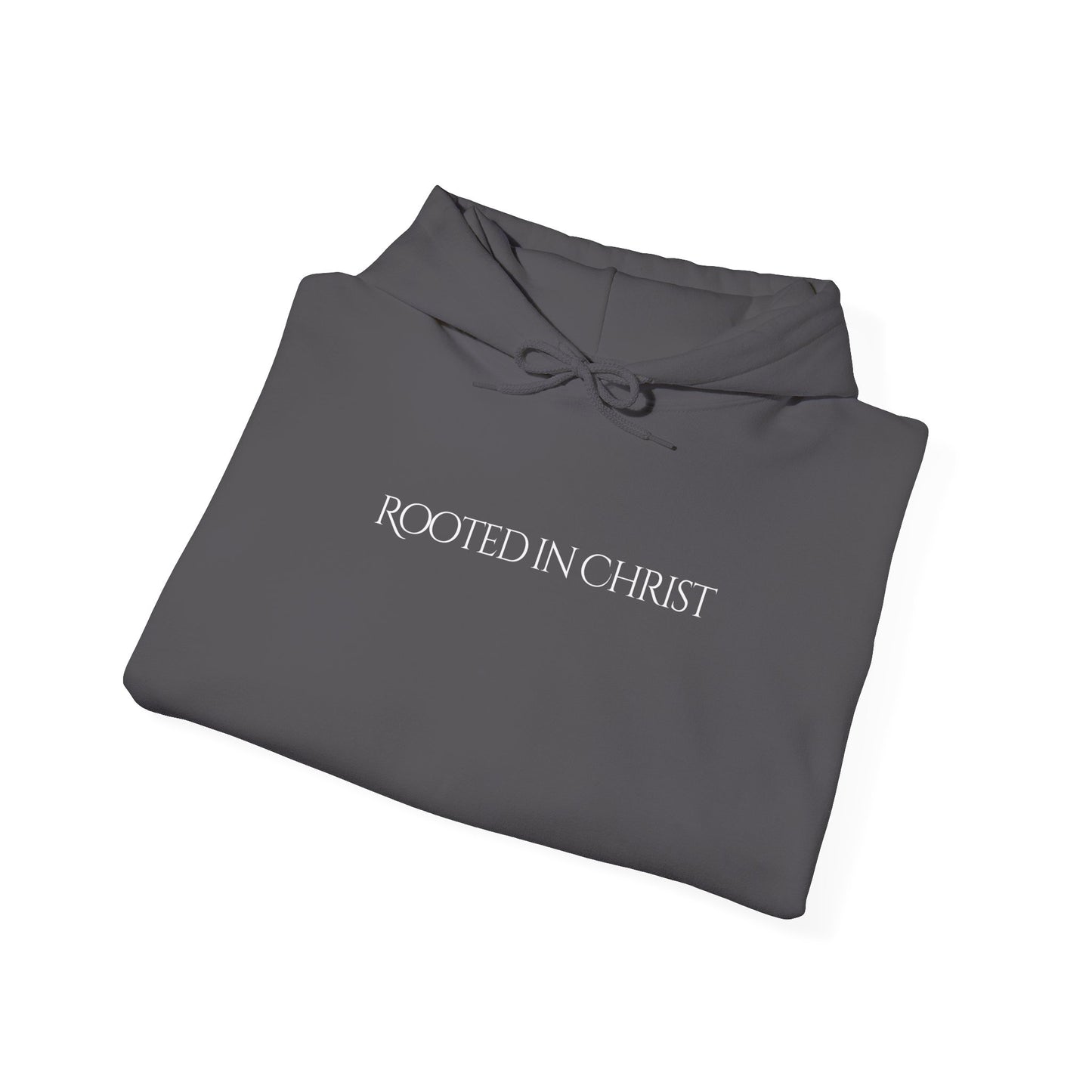 Rooted in Christ Unisex Hooded Sweatshirt