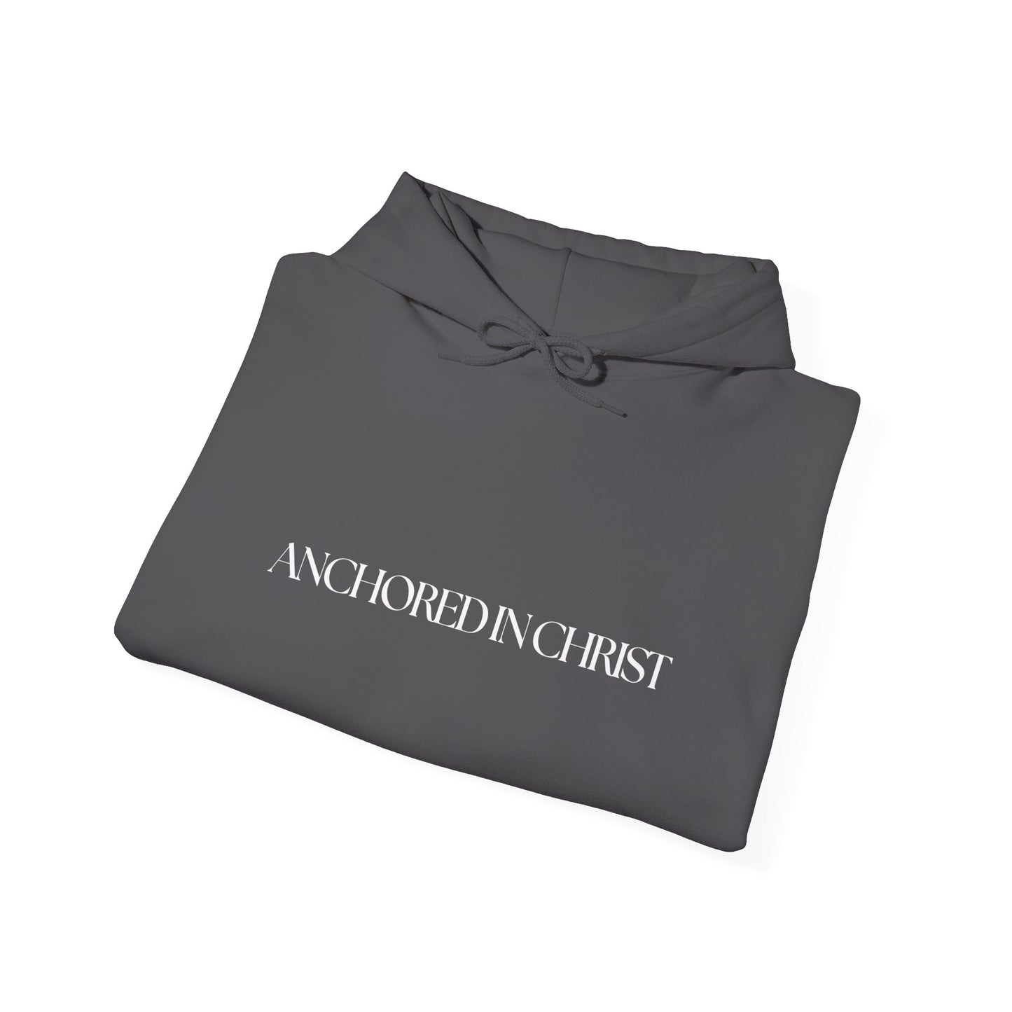 Anchored in Christ Unisex Hoodie