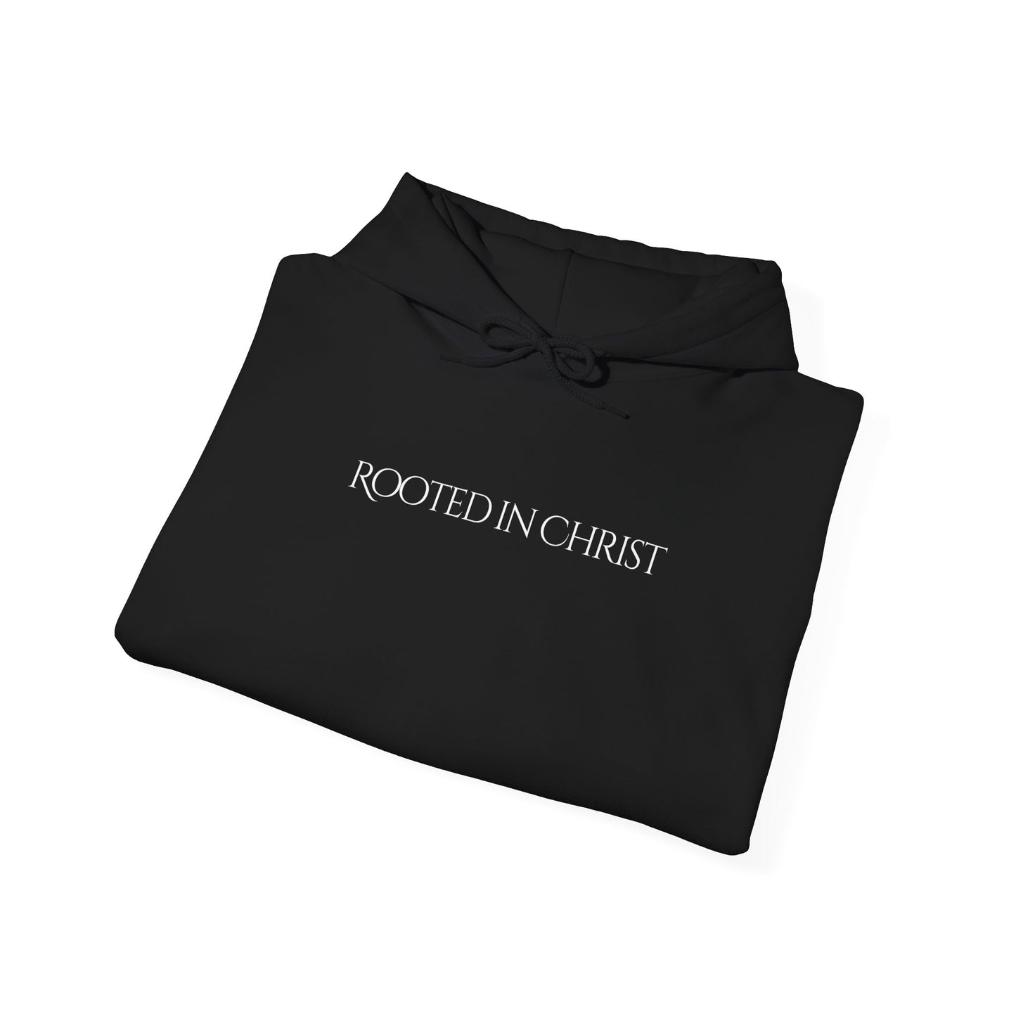 Rooted in Christ Unisex Hooded Sweatshirt